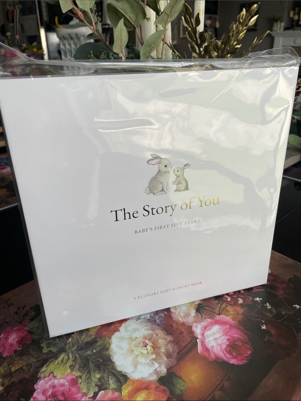Brand New Baby Book